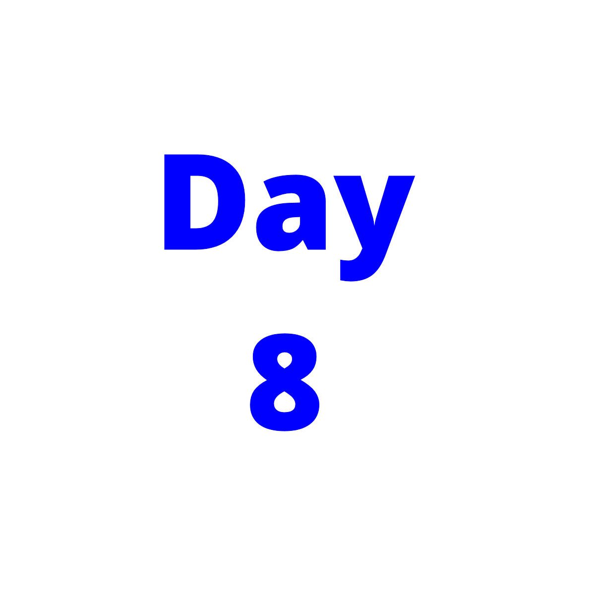 Day 8
