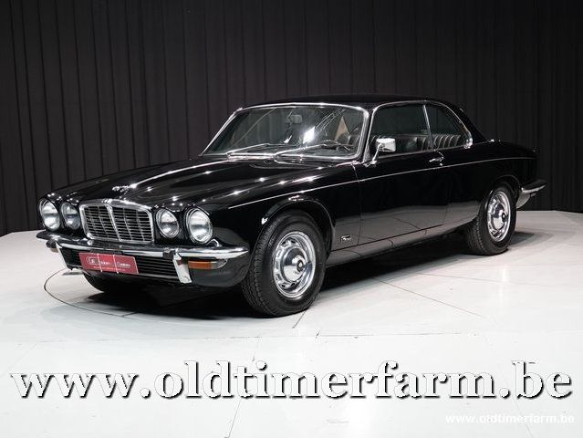 The Jaguar