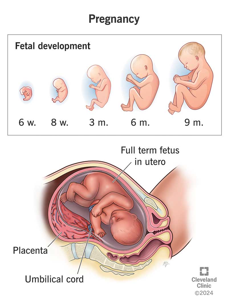 The Near Abortion